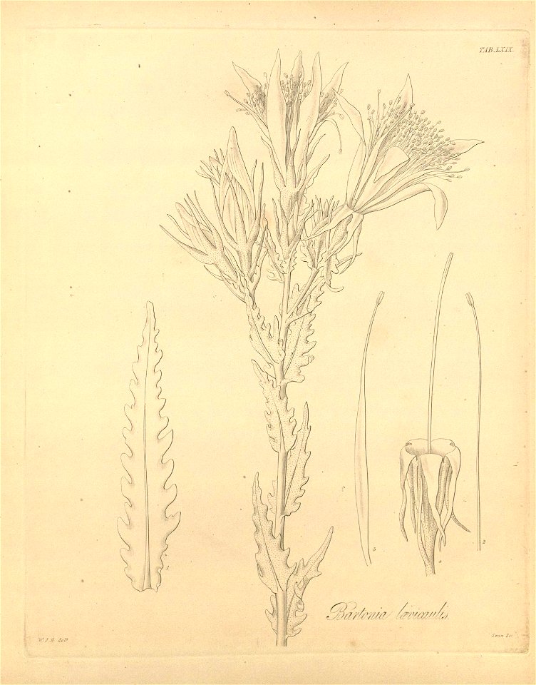 n438_w1150