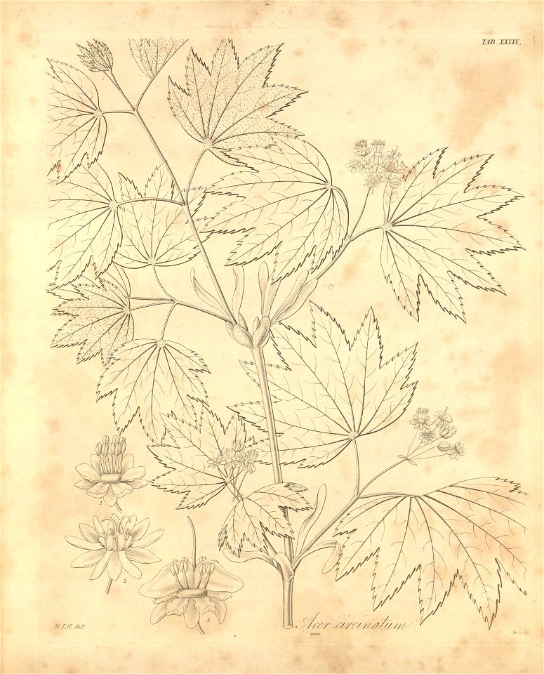 n408_w1150