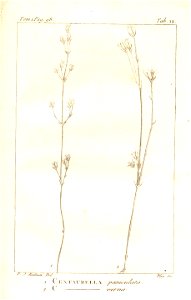 n121_w1150