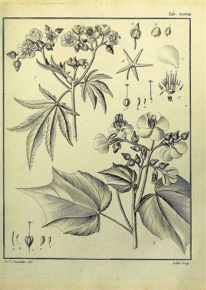 n304_w1150