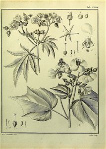 n304_w1150