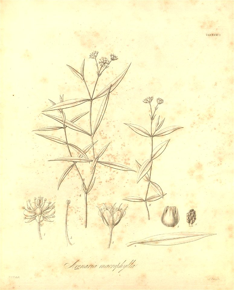 n406_w1150