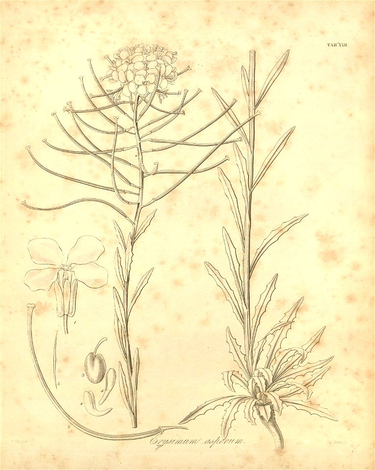 n391_w1150