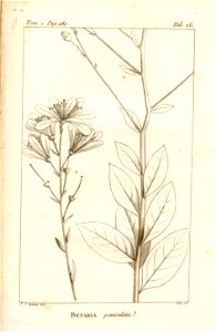 n317_w1150