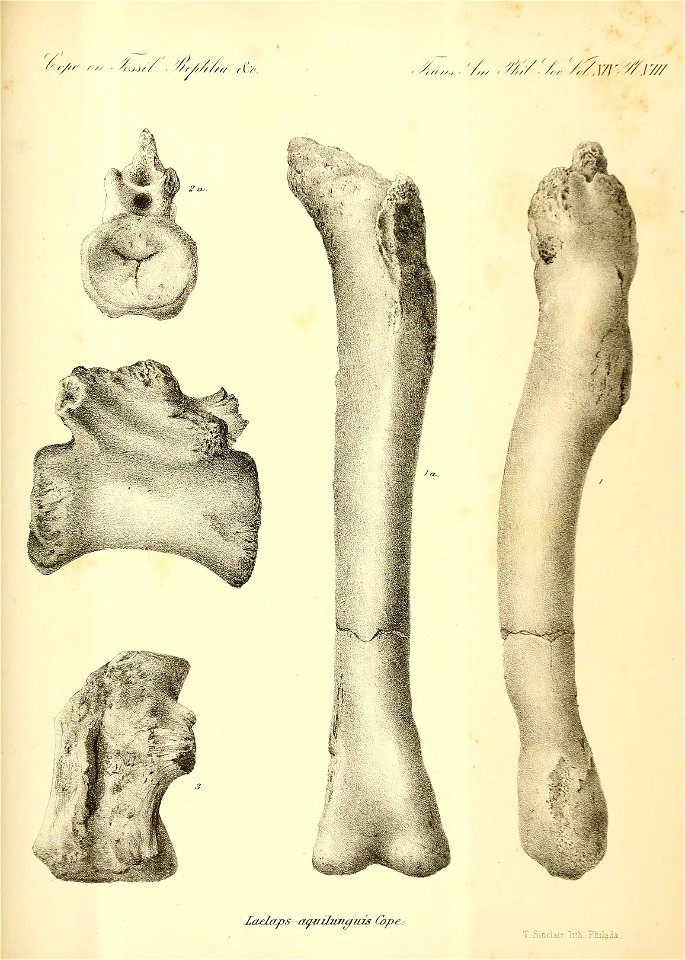 n128_w1150