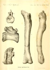 n128_w1150