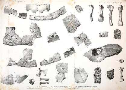 n126_w1150