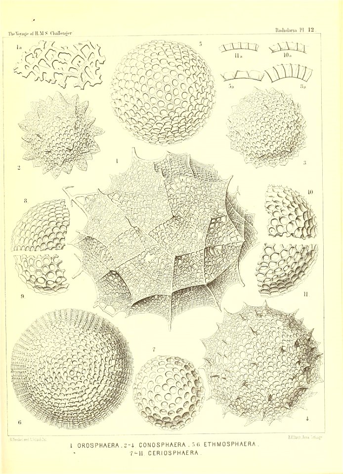 n58_w1150