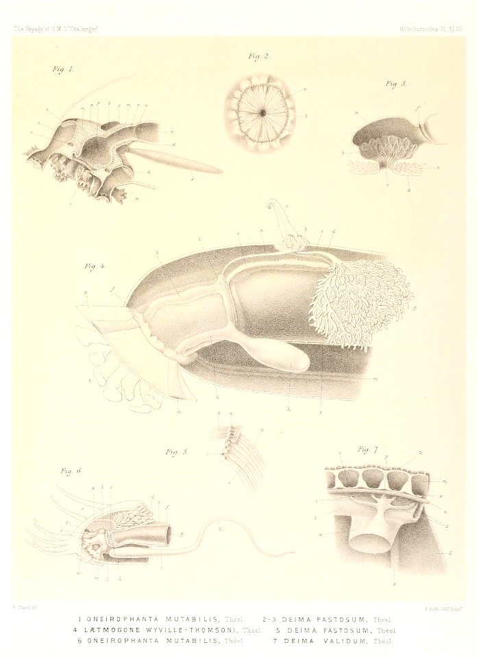 n764_w1150