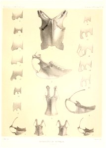 n114_w1150