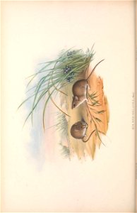 n95_w1150