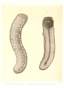 n728_w1150