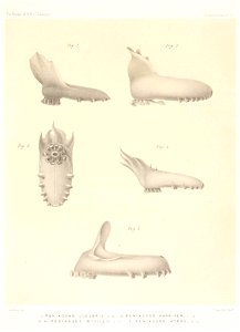 n698_w1150