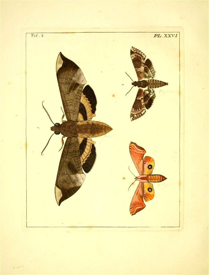 n113_w1150