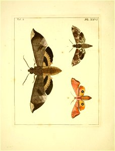 n113_w1150