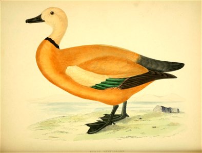 n269_w1150
