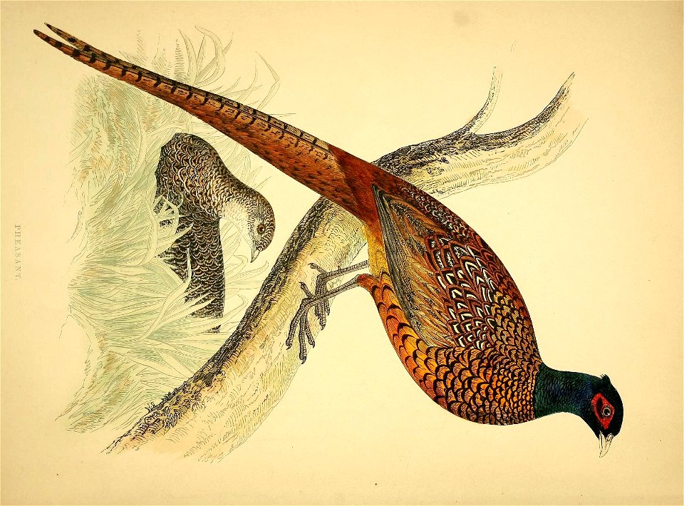 n5_w1150
