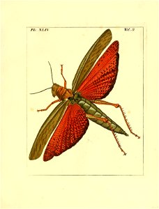 n186_w1150