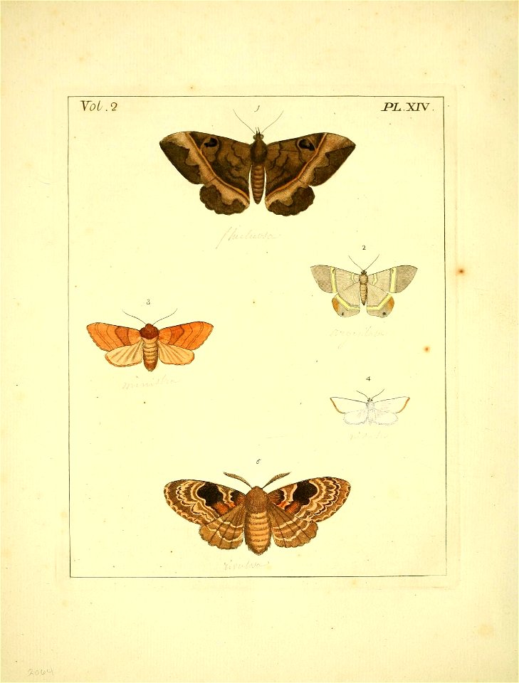 n69_w1150