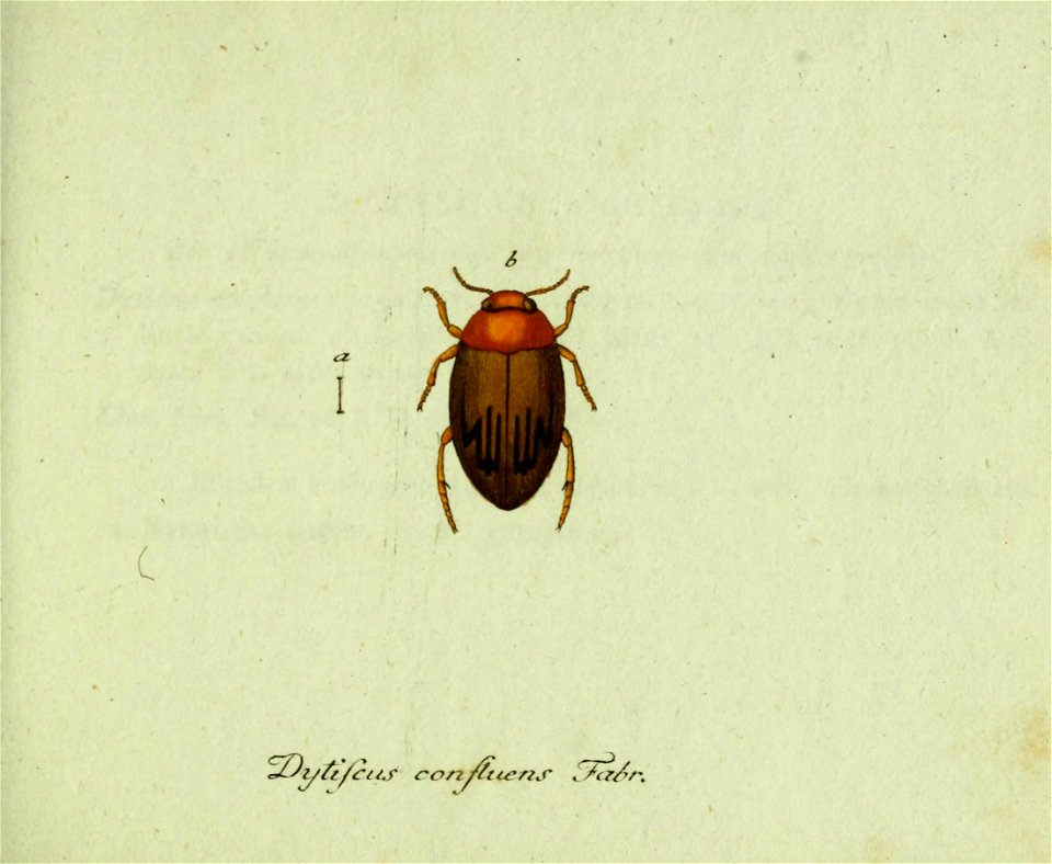 n122_w1150