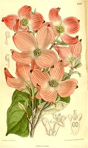 n114_w1150