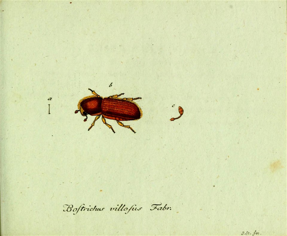 n234_w1150