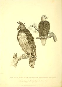 n195_w1150