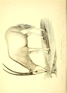 n247_w1150