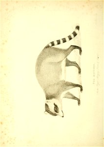 n127_w1150