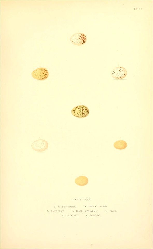 n172_w1150