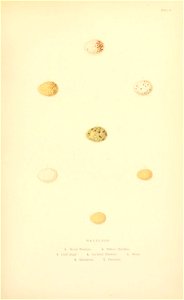 n172_w1150