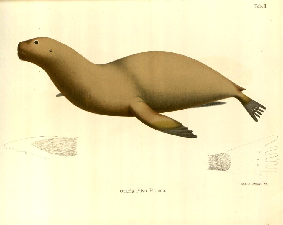 n55_w1150