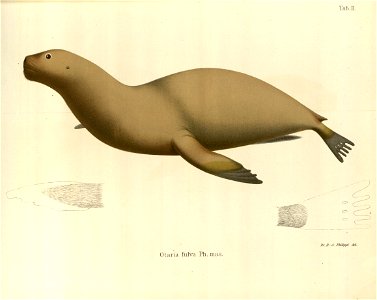 n55_w1150