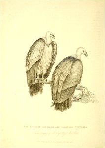 n179_w1150