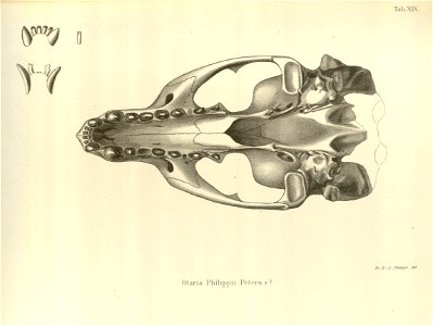n72_w1150