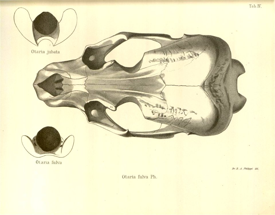 n57_w1150
