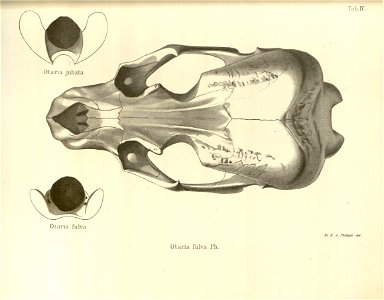 n57_w1150