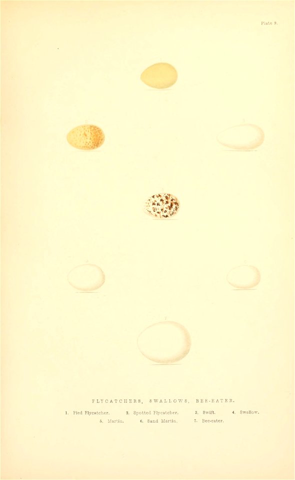 n194_w1150