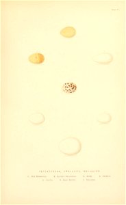 n194_w1150