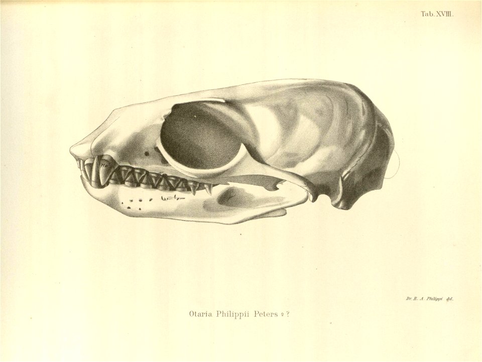 n71_w1150