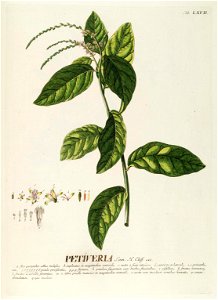n138_w1150