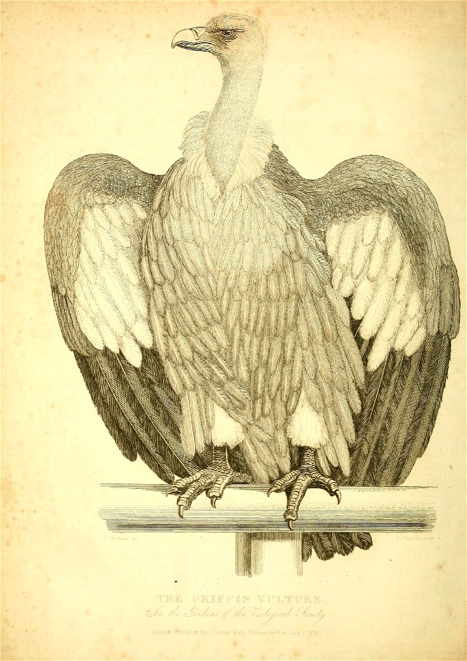 n59_w1150