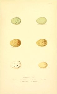 n302_w1150