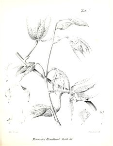 n122_w1150