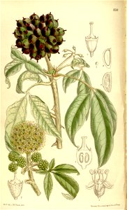 n117_w1150