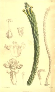 n163_w1150
