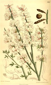 n121_w1150