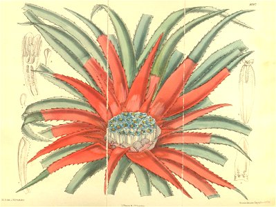 n111_w1150