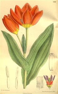 n195_w1150