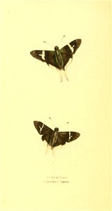 n25_w1150